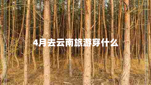 4月去云南旅游穿什么 4月去云南旅游穿什么