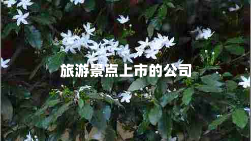 旅游景點(diǎn)上市的公司