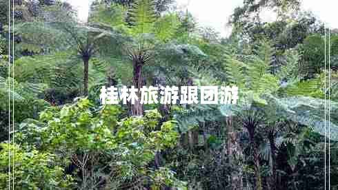 桂林旅游跟團游