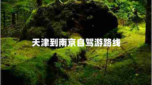 天津到南京自駕游路線