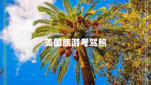 美國旅游考駕照