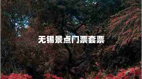 無錫景點門票套票