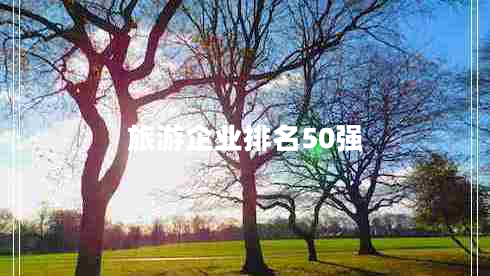 旅游企業(yè)排名50強