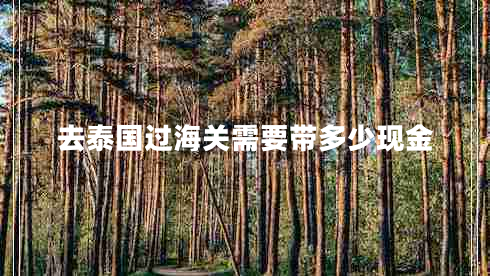 去泰國過海關需要帶多少現(xiàn)金