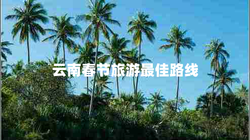 云南春節(jié)旅游最佳路線
