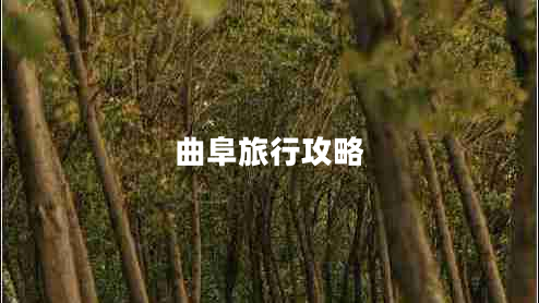 曲阜旅行攻略 曲阜旅行攻略