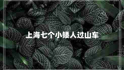 上海七個小矮人過山車 上海七個小矮人過山車