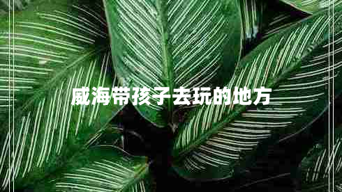 威海帶孩子去玩的地方 威海帶孩子去玩的地方