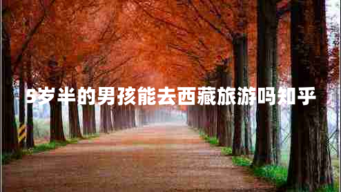 5歲半的男孩能去西藏旅游嗎知乎 5歲半的男孩能去西藏旅游嗎知乎