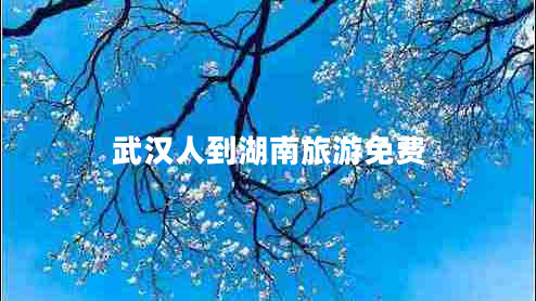 武漢人到湖南旅游免費 武漢人到湖南旅游免費