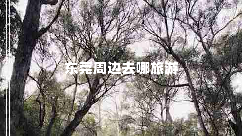 東莞周邊去哪旅游 東莞周邊去哪旅游