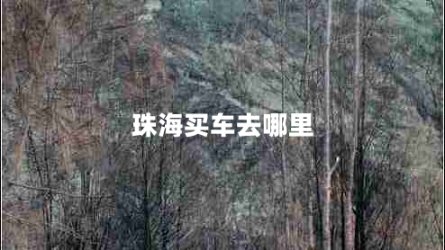 珠海買車去哪里