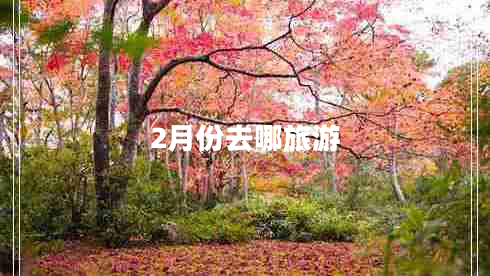 2月份去哪旅游 2月份去哪旅游