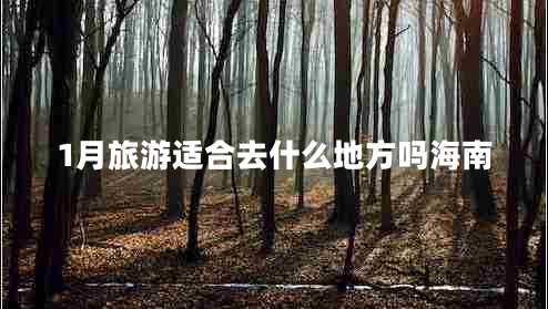 1月旅游適合去什么地方嗎海南