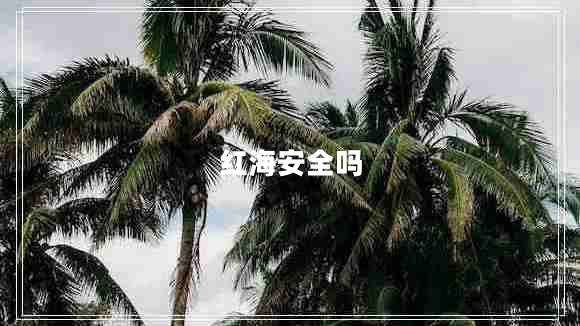 紅海安全嗎 紅海安全嗎