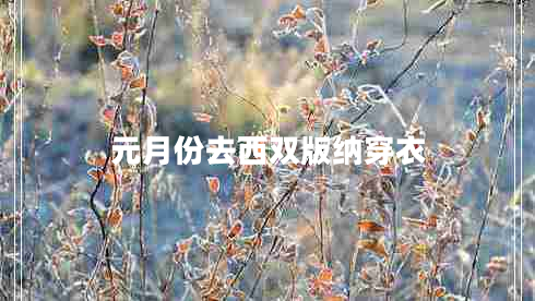 元月份去西雙版納穿衣