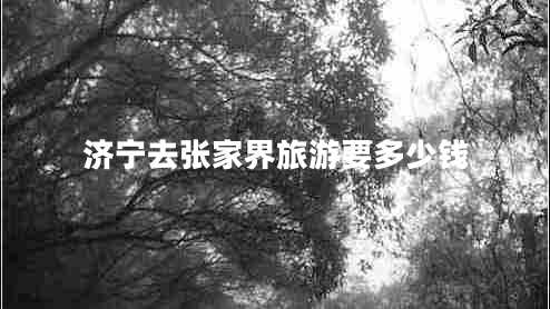 濟(jì)寧去張家界旅游要多少錢(qián)