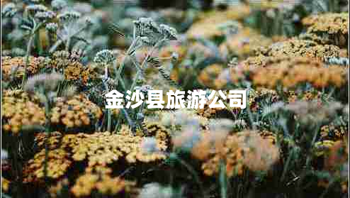 金沙縣旅游公司 金沙縣旅游公司