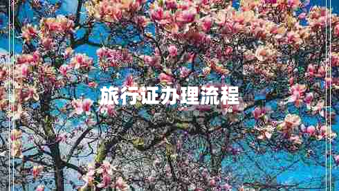 旅行證辦理流程 旅行證辦理流程