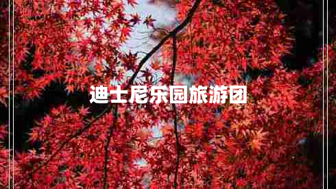 迪士尼樂園旅游團