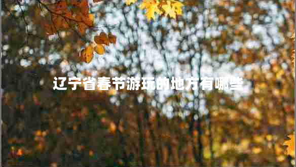 遼寧省春節(jié)游玩的地方有哪些 遼寧省春節(jié)游玩的地方有哪些