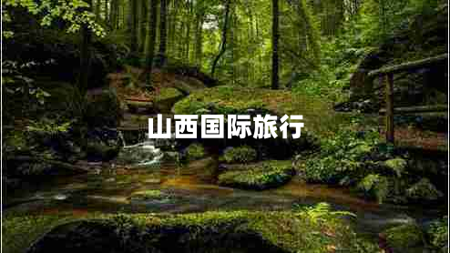 山西國(guó)際旅行 山西國(guó)際旅行