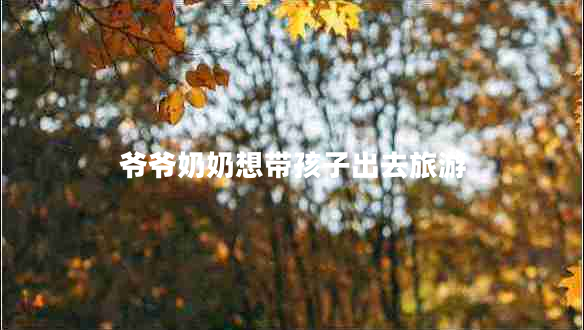 爺爺奶奶想帶孩子出去旅游 爺爺奶奶想帶孩子出去旅游