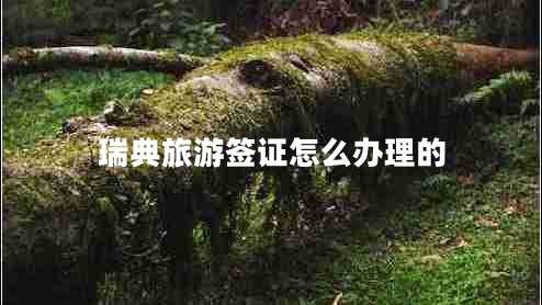 瑞典旅游簽證怎么辦理的 瑞典旅游簽證怎么辦理的