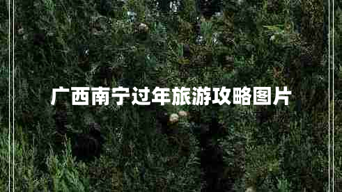 廣西南寧過年旅游攻略圖片