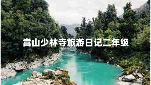 嵩山少林寺旅游日記二年級 嵩山少林寺旅游日記二年級