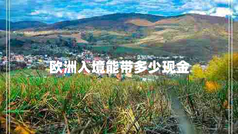 歐洲入境能帶多少現(xiàn)金 歐洲入境能帶多少現(xiàn)金