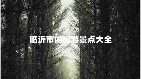臨沂市內(nèi)旅游景點(diǎn)大全