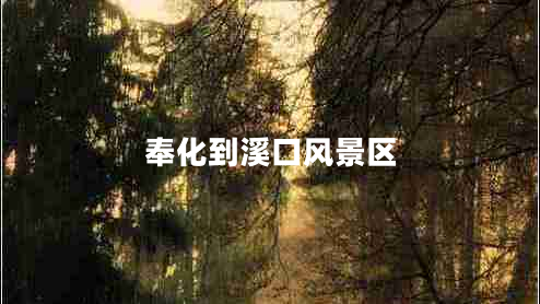 奉化到溪口風(fēng)景區(qū)