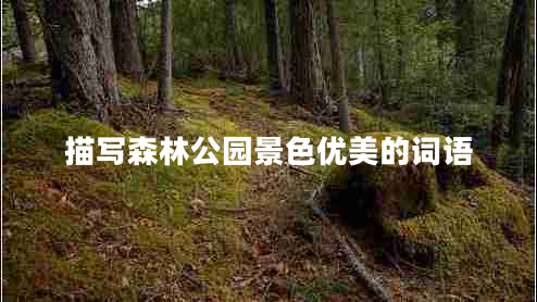 描寫森林公園景色優(yōu)美的詞語