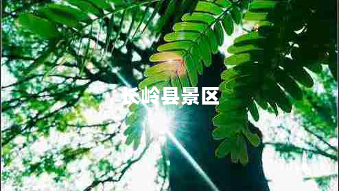 長嶺縣景區(qū) 長嶺縣景區(qū)