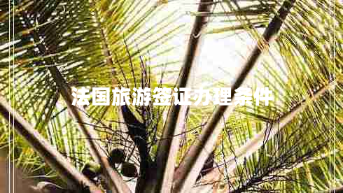 法國(guó)旅游簽證辦理?xiàng)l件