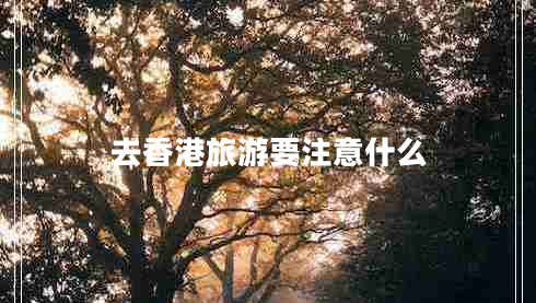 去香港旅游要注意什么 去香港旅游要注意什么