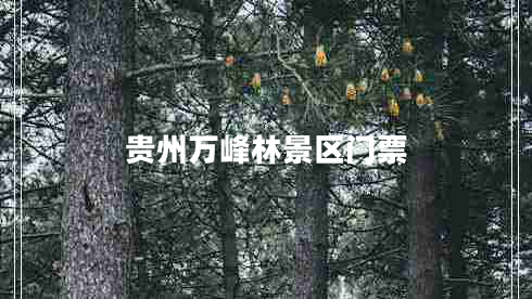貴州萬峰林景區(qū)門票