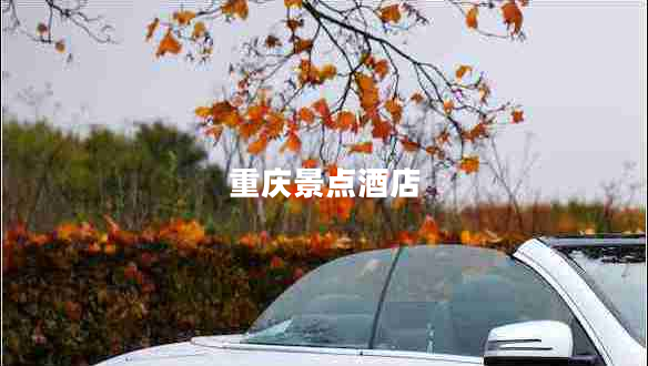 重慶景點(diǎn)酒店 重慶景點(diǎn)酒店