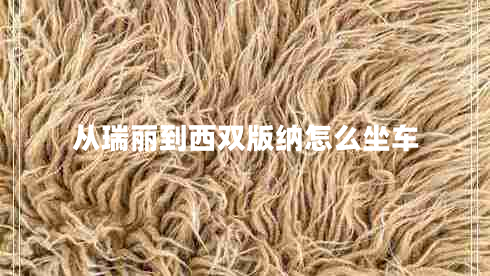 從瑞麗到西雙版納怎么坐車 從瑞麗到西雙版納怎么坐車