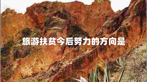 旅游扶貧今后努力的方向是 旅游扶貧今后努力的方向是