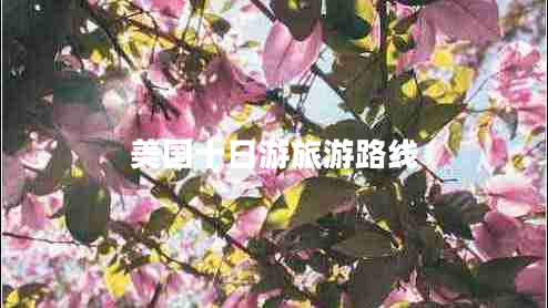 美國十日游旅游路線 美國十日游旅游路線