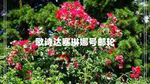 歌詩(shī)達(dá)塞琳娜號(hào)郵輪