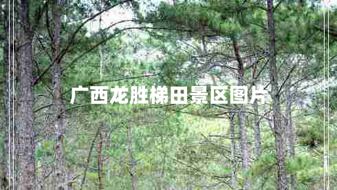 廣西龍勝梯田景區(qū)圖片 廣西龍勝梯田景區(qū)圖片