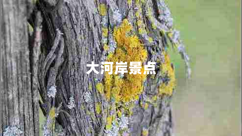 大河岸景點(diǎn)