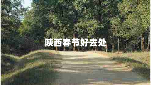 陜西春節(jié)好去處