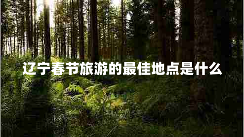 遼寧春節(jié)旅游的最佳地點是什么