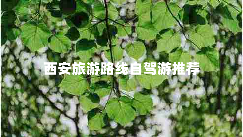 西安旅游路線自駕游推薦