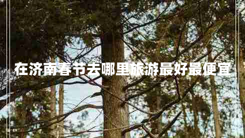 在濟南春節(jié)去哪里旅游最好最便宜