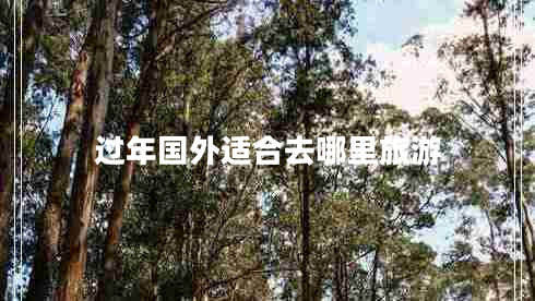 過年國外適合去哪里旅游